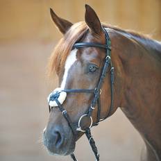 Barelle Kavalkade Bridles & Nosebands