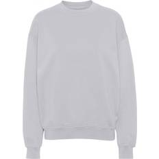 Colorful Standard Organic Sweatshirt - Limestone Grey