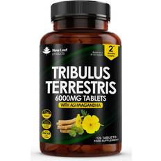 one to sell? Sell it yourself Tribulus Terrestris