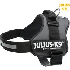 Julius-K9 Dog Collars & Leashes Pets Julius-K9 K-9 Power Harness Black