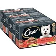 Cesar Hundmat våtfoder klassiskt urval Terrines en