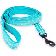 Feel Active Padded Leash 15mmx200cm