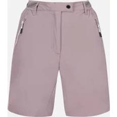 Outdoor Shorts - Purple Regatta Women's Womens/Ladies Mountain II Shorts Purple