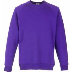 Purple Sweatshirts Children's Clothing Fruit of the Loom Sold by: Pertemba US, Childrens Big Boys Raglan Sleeve Sweatshirt