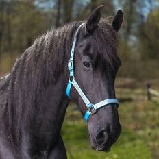 "Romana" grime Lyseblå Shetland