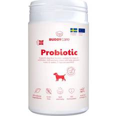 Vitaminer & Kosttillskott Buddy BuddyCare Probiotic 180