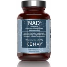 Nad Nicotinamidadenindinukleotid 30 Kapsler
