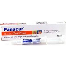 Panacur Oral Paste Wormer 5g