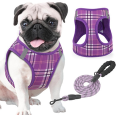 Winston Porter Mesh Dog Harness & Leash indigo