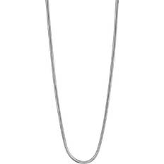 Bering Arctic Symphony Collection