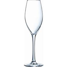 Cristal d’Arques Paris Emotions Vinglas 24cl 4st