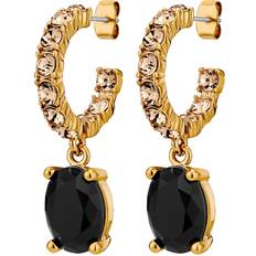 Svart Örhängen Dyrberg/Kern Dyrberg/Kern Barbara Sg Black Golden Örhängen Guld