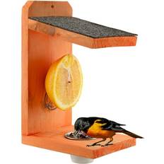 Uncle Dunkels Oriole Bird Feeder 2-Way Feeder