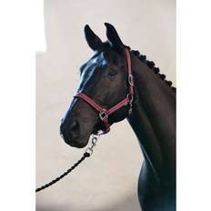 Cob Horse Halters Horse Guard Pony Halter Rio - Rouge