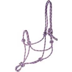 Morado Cabestros para caballos Cabestro de cuerda para caballos Harry's Horse Violet