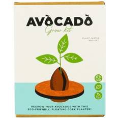 Gift Republic Odlingskit Avocado