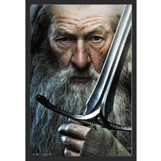 Framed Art Lord of The Rings Gandolf Poster Framed Art