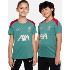 Sports Fan Apparel Nike FC Liverpool Dri-FIT Kurzarm-Fußballoberteil aus Strickmaterial für ältere Kinder Grün