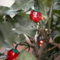 Acrylic String Lights 20 Strawberry Solar String Light