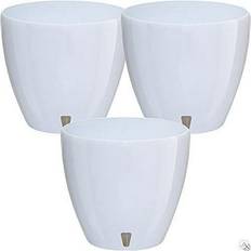 Corp, DecoPots Self Watering Planter