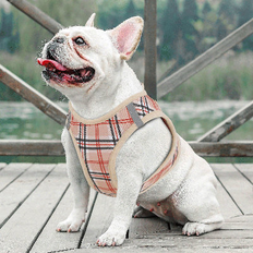 Winston Porter Mesh Dog Harness & Leash brown