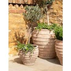 Pots, Plants & Cultivation Garden Trading Otterton Planter Terracotta
