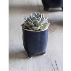 Pots, Plants & Cultivation Garden Trading Positano Pot 7.2cm Ink Blue