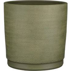 Steel Pots Latitude Run Allysyn Ceramic Pot Planter Green