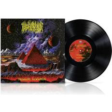 Absolute Elsewhere (LP) (Vinyl)