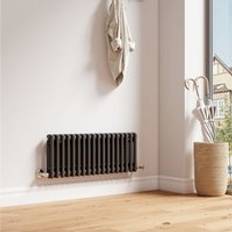 EMKE Traditional Horizontal Cast Iron Double Column High-Efficiency Heating Rads 300x830mm