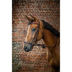 Dyon DCollection Trense hannoveranisch verstellbar schwarz WB