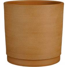 Steel Pots Latitude Run Allysyn Ceramic Pot Planter Brown