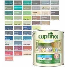 Paint Cuprinol garden shades paint sheds 2.5L