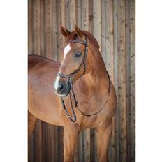 Équitation Horze Bridons à muserolle combinée pour cheval sans mors Orlando Marron