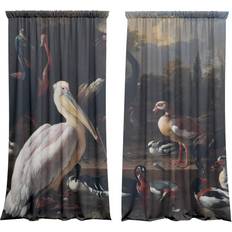 Curtains & Accessories Astoria Grand Komplet zaslon Pelikan