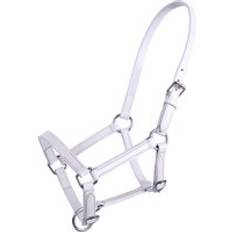 White Halters & Lead Ropes QHP Chico Leather Foal Headcollar - Blanc