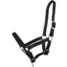Foal Headcollar - Black