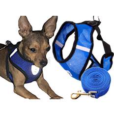 Justerbart Halsband med Bälte 37 cm