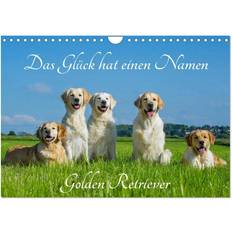 Gold Kalender Calvendo Das Glück hat einen Namen Golden Retriever Wandkalender