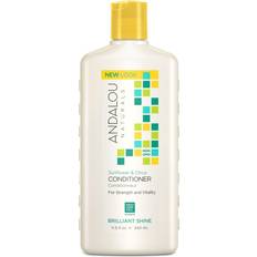 Hair Products Andalou Naturals Sunflower Citrus Brilliant Shine Conditioner 115 Ounce