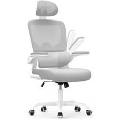 Ergonomic Mesh with lumbar desk