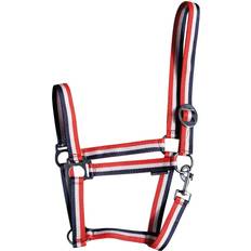 Horse Halters on sale Harrys Horse Halter For Economy - Rouge