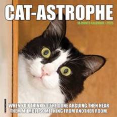 Willow Creek Press Cat-Astrophe 2025 7 X 7 Mini Calendar