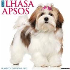 Willow Creek Press Just Lhasa Apsos 2025 12 X 12 Calendar