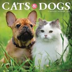 Willow Creek Press Cats & Dogs 2025 12 X 12 Calendar