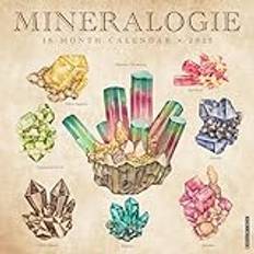 Willow Creek Press Mineralologie 2025 12 X 12 Calendar