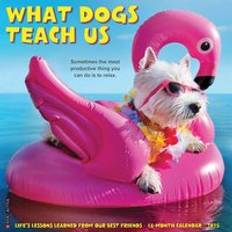 Willow Creek Press What Dogs Teach Us 2025 12 X 12 Calendar
