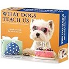 Willow Creek Press What Dogs Teach Us 2025 6.2 X 5.4 Box Calendar