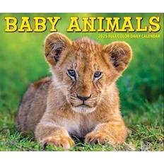 Willow Creek Press Baby Animals 2025 6.2 X 5.4 Box Calendar