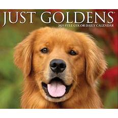 Gold Calendars Willow Creek Press Goldens 2025 6.2 X 5.4 Box Calendar